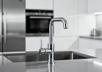 Hansgrohe kitchen faucet