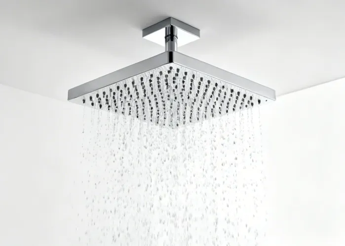 Hansgrohe Raindance shower system